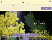 Tablet Screenshot of mimosa-augier.com